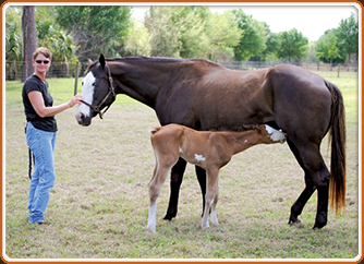 Gene Gage 2011 Colt